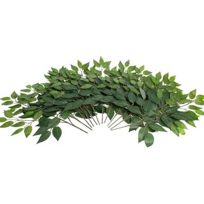 BOTANIC-HAUS - Ficuszweig - Ø53 cm - 57 cm 12 St. - Artificial plant BOTANIC-HAUS - Ficuszweig - Ø53 cm - 57 cm 12 St. - Artificial plant