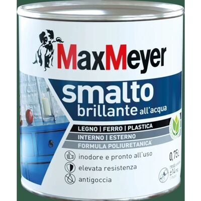 Smaltatura Lucida Verde a Base d'Acqua Maxmeyer - Vernice Smaltatura Lucida Verde a Base d'Acqua Maxmeyer - Vernice