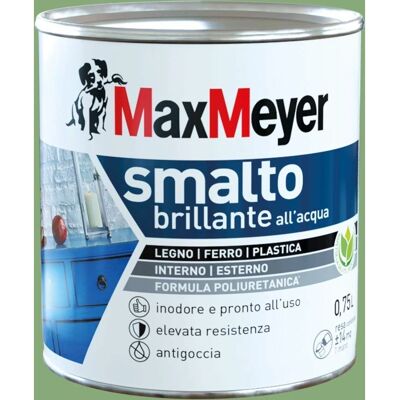 Max Meyer Smalto Brillante a Base d'Acqua Verde Cina - Vernice Max Meyer Smalto Brillante a Base d'Acqua Verde Cina - Vernice