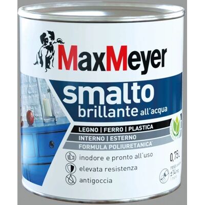MAX MEYER Smalto Brillante a Acqua - Vernice/ Spray MAX MEYER Smalto Brillante a Acqua - Vernice/ Spray