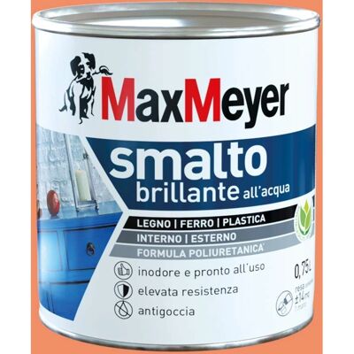Max Meyer Smalto Brillante ad Acqua Arancione - Interni/Esterni - 0,75L Max Meyer Smalto Brillante ad Acqua Arancione - Interni/Esterni - 0,75L