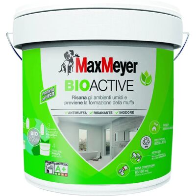 Pittura antimuffa bioattiva Max Meyer 10L - Vernice per pareti Pittura antimuffa bioattiva Max Meyer 10L - Vernice per pareti