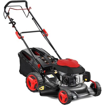 Uccello Blu Sprint B51 T Uccello Blu Sprint B51 T