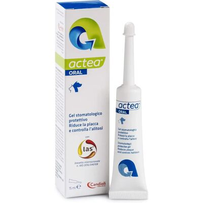 Kimipharma Oral Actin 15ml - Gel orale per malattie gengivali Kimipharma Oral Actin 15ml - Gel orale per malattie gengivali