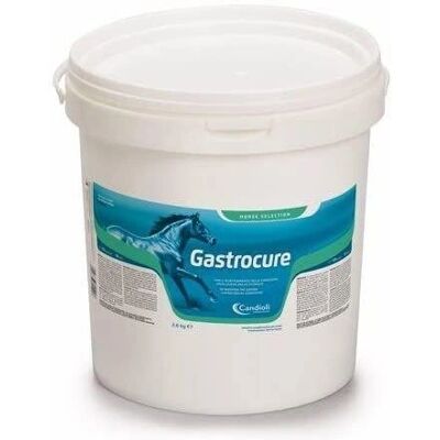 Supporto Gastrico Cavalli Candioli - 2,6kg - Integratore per Stomaco Supporto Gastrico Cavalli Candioli - 2,6kg - Integratore per Stomaco