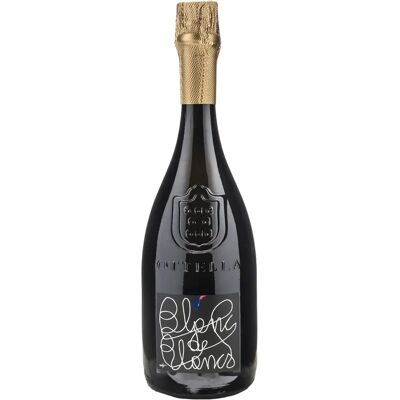 Ottella Blanc de Blancs Sekt - Sekt Ottella Blanc de Blancs Sekt - Sekt