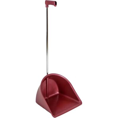 Conjunto de recogedor y escoba Beverly - Polipropileno, mango metálico - 35x90 cm - Recogedor y escoba Conjunto de recogedor y escoba Beverly - Polipropileno, mango metálico - 35x90 cm - Recogedor y escoba
