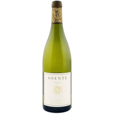 Famiglia Cotarella Viognier Lazio IGP 2023 - Aromatico & Fresco - Vino Famiglia Cotarella Viognier Lazio IGP 2023 - Aromatico & Fresco - Vino