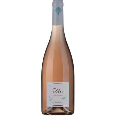 Famiglia Cotarella Tellus Rosé Syrah Lazio IGP 2023 - Roséwein Famiglia Cotarella Tellus Rosé Syrah Lazio IGP 2023 - Roséwein