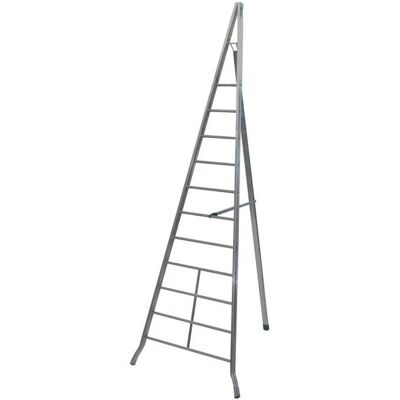 FACAL Scala Agricolare Silver - Parte superiore conica, 5m di altezza - Scala FACAL Scala Agricolare Silver - Parte superiore conica, 5m di altezza - Scala
