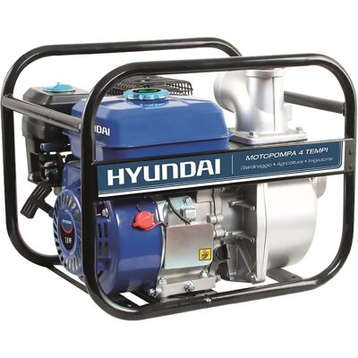 Pompa acqua Hyundai 35605 - Irrigazione domestica, doppio outlet Pompa acqua Hyundai 35605 - Irrigazione domestica, doppio outlet