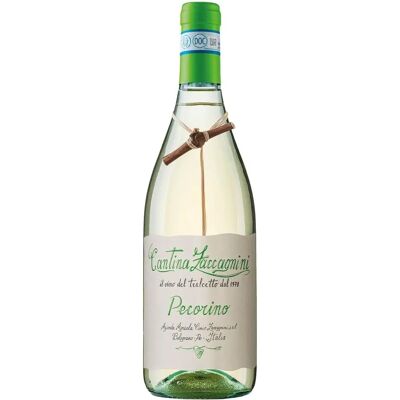 Zaccagnini Ciccio Zaccagnini Pecorino Tralcetto - Witte Wijn Zaccagnini Ciccio Zaccagnini Pecorino Tralcetto - Witte Wijn