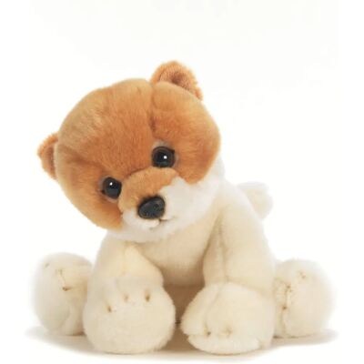 Plush & Company - Cane Spitzy 30 cm - Peluche Plush & Company - Cane Spitzy 30 cm - Peluche