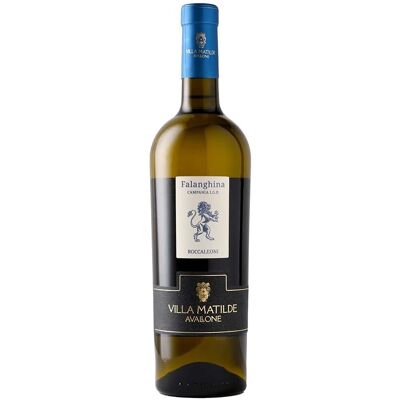Villa Matilde Falanghina Rocca dei Leoni - Vino Bianco Villa Matilde Falanghina Rocca dei Leoni - Vino Bianco