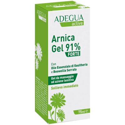 Consulteam Srl Gel Arnica 91% Forte - Sollievo muscolare Consulteam Srl Gel Arnica 91% Forte - Sollievo muscolare