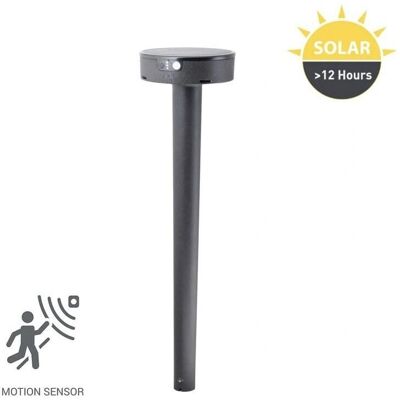 Fumagalli Fiorina Bollard Solaire LED - Capteur, 3 Modes - Publicité Fumagalli Fiorina Bollard Solaire LED - Capteur, 3 Modes - Publicité