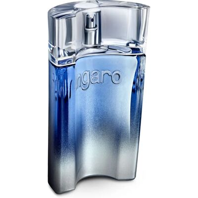 Ungaro Man Eau De Toilette - Fougere aromatica per uomini Ungaro Man Eau De Toilette - Fougere aromatica per uomini