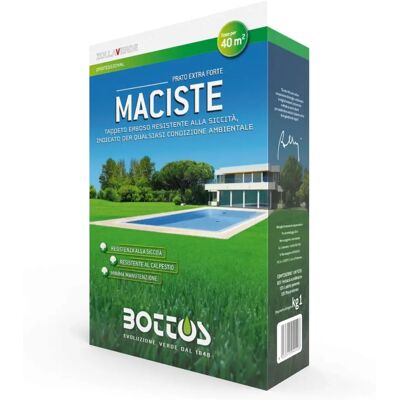 Mélange de Graines de Gazon Maciste - Résistant à la Chaleur et à la Sécheresse - Pelouses Ornementales - Publicité Mélange de Graines de Gazon Maciste - Résistant à la Chaleur et à la Sécheresse - Pelouses Ornementales - Publicité