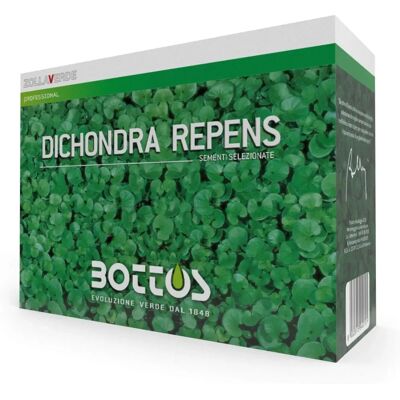 BOTTOS Dicondra Repenes - Sementi da prato a bassa manutenzione - 1kg BOTTOS Dicondra Repenes - Sementi da prato a bassa manutenzione - 1kg