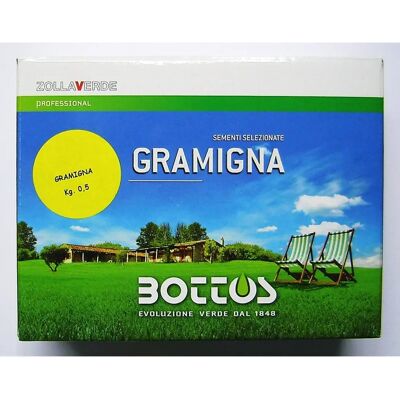 Semi Gramigna di Bottos - Seme Resistente alla Siccità Semi Gramigna di Bottos - Seme Resistente alla Siccità