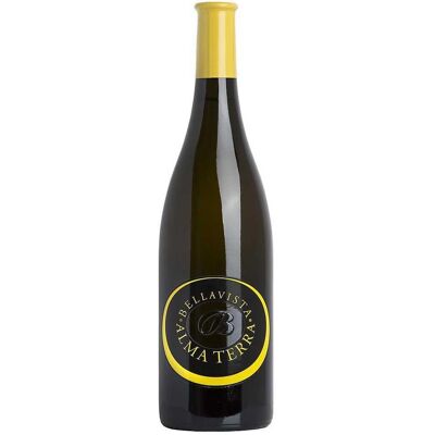 Bellavista Alma Terra Chardonnay - Wein Bellavista Alma Terra Chardonnay - Wein