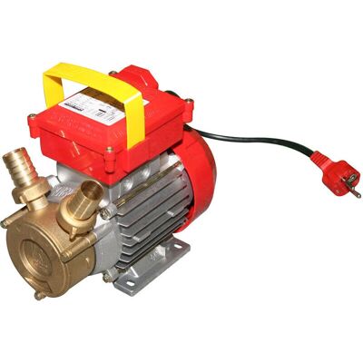 ROVER - Rover 25 CE - 0,8 HP - mono phase - pompe - Publicité ROVER - Rover 25 CE - 0,8 HP - mono phase - pompe - Publicité