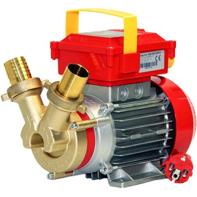 Pompe de transfert Rover 35V 230W - Auto-amorçante, 20m Hauteur Max - Publicité Pompe de transfert Rover 35V 230W - Auto-amorçante, 20m Hauteur Max - Publicité