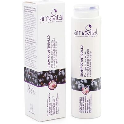 Oficine Cleman Srl Amavital Shampoo - Biondi e Bianchi - Cura dei Capelli Oficine Cleman Srl Amavital Shampoo - Biondi e Bianchi - Cura dei Capelli