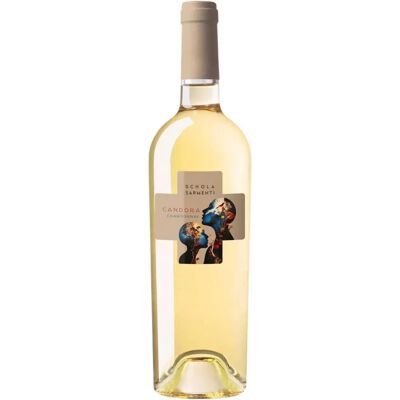 Schola Sarmenti Candora Chardonnay - Warm Environment Wine Schola Sarmenti Candora Chardonnay - Warm Environment Wine