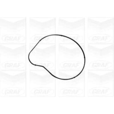 Bomba de água GRAF PA1058 - Rotor em latão para sistema de correia trapezoidal Bomba de água GRAF PA1058 - Rotor em latão para sistema de correia trapezoidal