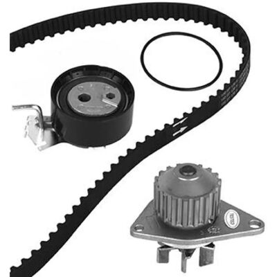 Metelli Water Pump and Belt Kit - 30-0837-2 Metelli Water Pump and Belt Kit - 30-0837-2
