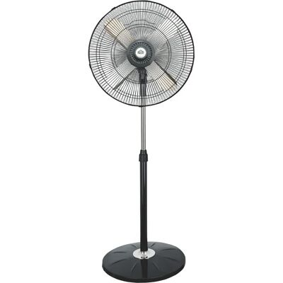 DCG Eltronic VE1655B - Nero - Ventilatore domestico DCG Eltronic VE1655B - Nero - Ventilatore domestico