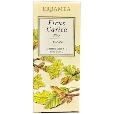 Erbamea Srl Gemme di Fico - Supporto Digestivo - 50ml Erbamea Srl Gemme di Fico - Supporto Digestivo - 50ml