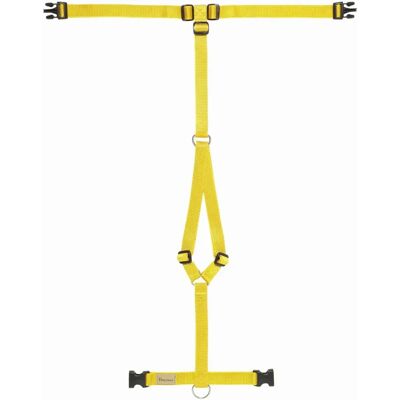 Haqihana - Pettorina - XXS - Yellow - Harness Haqihana - Pettorina - XXS - Yellow - Harness