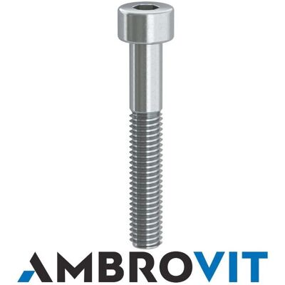 Ambrovit Modelo 8x40 Sujetador de Acero Zincado - Montaje Metálico Ambrovit Modelo 8x40 Sujetador de Acero Zincado - Montaje Metálico