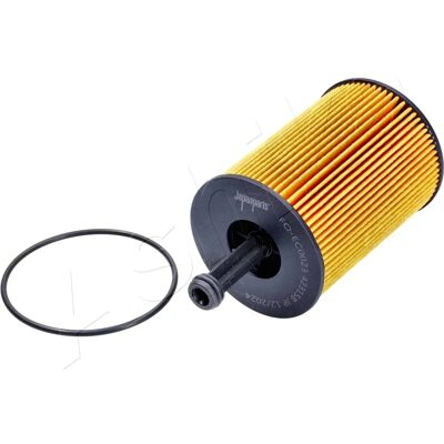 Ashika Modell 071115562C - Ölfilter für Audi, VW, Skoda, Seat, Mitsubishi, Jeep, Ford, Chrysler Ashika Modell 071115562C - Ölfilter für Audi, VW, Skoda, Seat, Mitsubishi, Jeep, Ford, Chrysler
