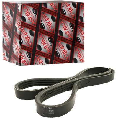 Ashika Modell 1124PK890 Keilrippenriemen - Auto Motoren Teil Ashika Modell 1124PK890 Keilrippenriemen - Auto Motoren Teil