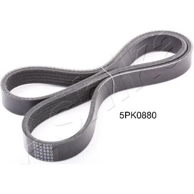 Ashika 112-5pk880 Keilrippenriemen - Fahrzeugzubehör Ashika 112-5pk880 Keilrippenriemen - Fahrzeugzubehör