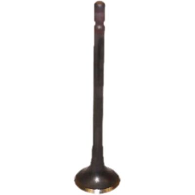 Japko Auslassventil - V95134, 15hy001, 8033001530759, 5HY001 - Auslassventil Japko Auslassventil - V95134, 15hy001, 8033001530759, 5HY001 - Auslassventil
