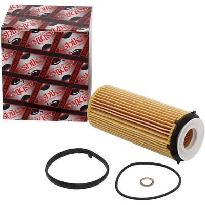 Ashika Foe101jm - Oliefilter til BMW 3, 5, 7, X5, X6 - Filterindsats Ashika Foe101jm - Oliefilter til BMW 3, 5, 7, X5, X6 - Filterindsats