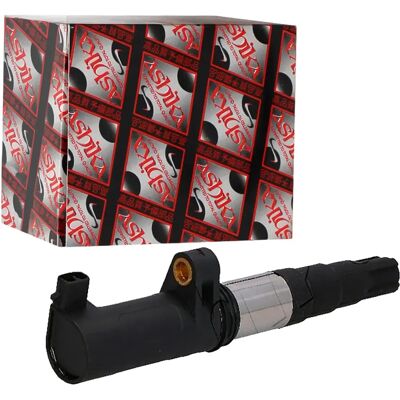 Ashika Nissan Dacia Renault - Ignition Coil - Vehicle Compatibility Ashika Nissan Dacia Renault - Ignition Coil - Vehicle Compatibility