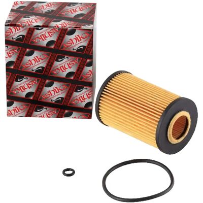 ASHIKA Ölfilter 10-ECO025 für VW, Audi, Skoda - Filtereinsatz ASHIKA Ölfilter 10-ECO025 für VW, Audi, Skoda - Filtereinsatz