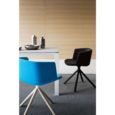 Lapalma Capture Esche Sessel Lapalma Capture Esche Sessel