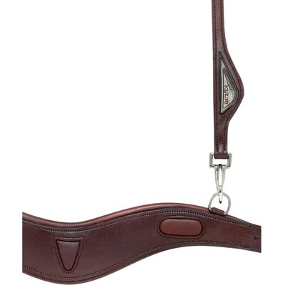 EQUILINE Pferdekopfschiene - Anatomisch, Schlank, Zweibein EQUILINE Pferdekopfschiene - Anatomisch, Schlank, Zweibein