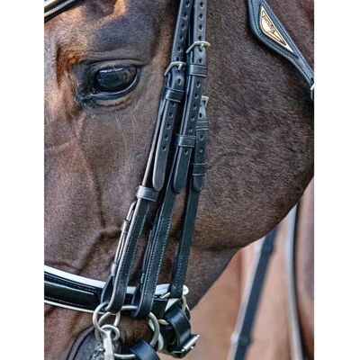 Ensemble de 4 halters plats pour chevaux - Équipement équestre EQUILINE - Publicité Ensemble de 4 halters plats pour chevaux - Équipement équestre EQUILINE - Publicité
