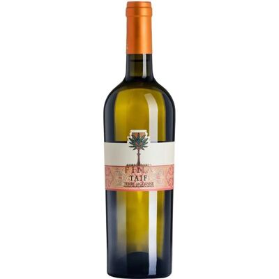 Cantine Fina Zibibbo Taif 2023 - Vino Bianco Siciliano IGT Cantine Fina Zibibbo Taif 2023 - Vino Bianco Siciliano IGT