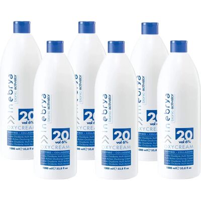 Inebrya Bionic Aktivator Oxycream 20 Vol - Haarfärbeaktivator Inebrya Bionic Aktivator Oxycream 20 Vol - Haarfärbeaktivator