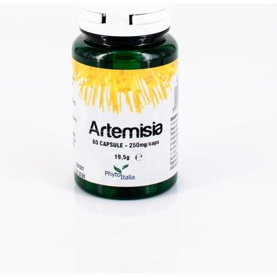 Phytoitalia Artemisia 60 Capsule - Supporto digestivo Phytoitalia Artemisia 60 Capsule - Supporto digestivo
