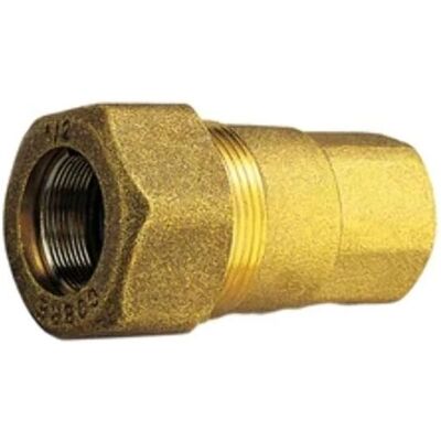 Tiemme Modelo 2'' Conector hembra para reparación de tuberías - Accesorio de tubería Tiemme Modelo 2'' Conector hembra para reparación de tuberías - Accesorio de tubería