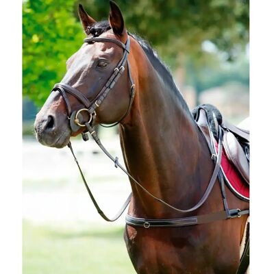 TATTINI Elastischer Hundehalsband mit Abnehmbarem Hals TATTINI Elastischer Hundehalsband mit Abnehmbarem Hals